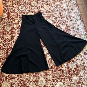 Zara skirt pants